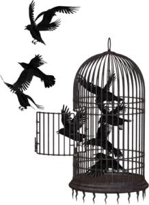 Birds leaving cage illustration